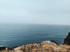 -杨梅坑