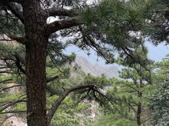 -明堂山风景区