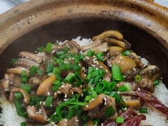 -红星光发煲仔饭(大石街店)