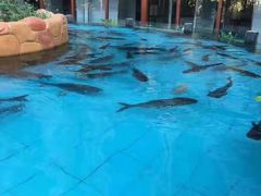 -忆江南·临江鱼馆