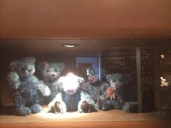 -济州岛泰迪熊博物馆