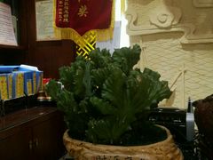 -福阳·足道养生会所(远大路店)