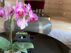 -北京园博大酒店