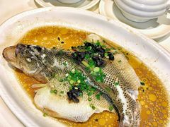 -虾饺妹·酒家(金碧店)