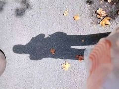 -CoCo都可(十全东店)