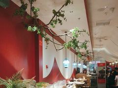 -九鼎轩脆毛肚火锅(三钢里店)