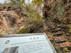 -天女山森林公园