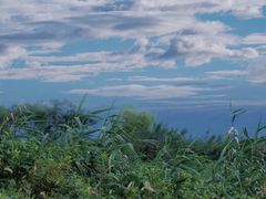 -东钱湖旅游度假区