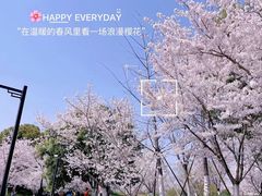 -径山花海