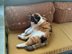 -BUND·FIVE外滩5号(天际店)