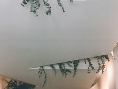 -尤加利咖啡馆