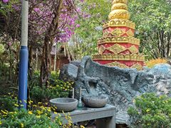 -瑞丽独树成林风景区