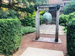 -普林斯顿大学