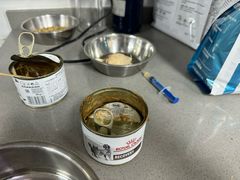 -爱侣宠医·鹦鹉专科·小型哺乳类·异宠专科(灵石路店)