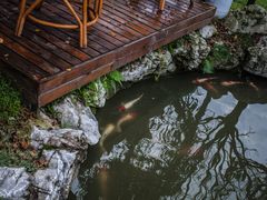 -洪湖家庭农场·团建·露营·会议