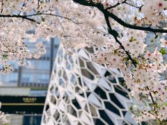 -龙美术馆(西岸馆)