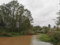 -桤木河湿地公园