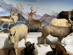 -陕西自然博物馆