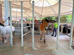 -金庭庄园酒店-停车场