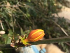 -如皋市龙游湖欢乐世界