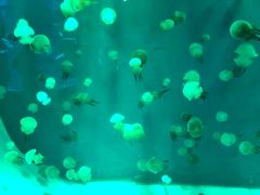 -石林冰雪海洋世界