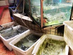 -稻香村鱼庄