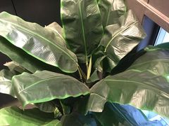-仙桐吉宴铁板烧·精致料理