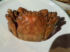 -扬州狮子楼·非遗淮扬菜(东关街店)
