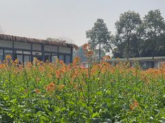-洪湖家庭农场·团建·露营·会议