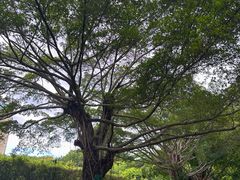 -南宁南湖公园