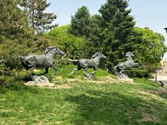 -元大都城垣遗址公园