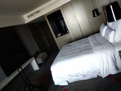 -南京禄口机场雅高铂尔曼大酒店