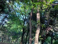 -杭州植物园