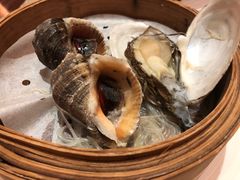 -马哥孛罗咖啡厅·Cafe Marco (厦门马哥孛罗东方大酒店)