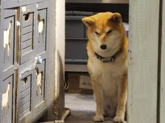 -小时光咖啡馆(北锣鼓巷店)