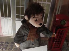 -济州岛泰迪熊博物馆