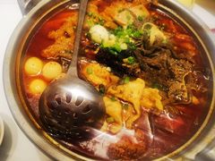 传统地道毛血旺-眉州东坡(春秀路店)