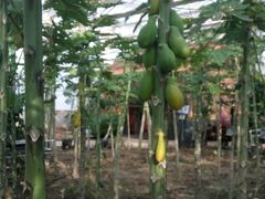 -天源吉布世温泉水乐园