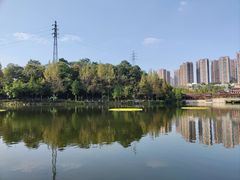 -重庆彩云湖湿地公园