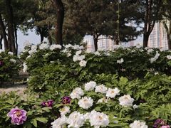 -太阳宫公园