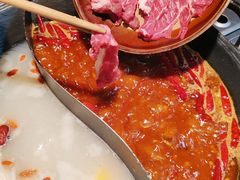 -阳阳老火锅(小南门店)