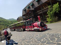 -大连天门山国家森林公园