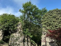 -山王坪喀斯特国家生态公园