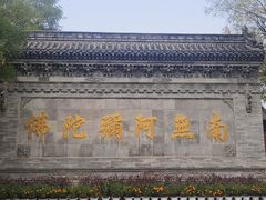 -大槐树寻根祭祖园