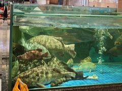 -聚福宝合苑食府(南头镇店)