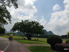 -南宁花花大世界景区