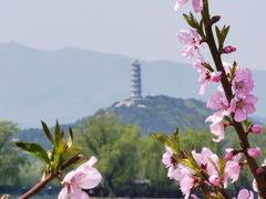 -颐和园