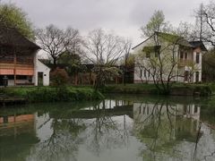 -西溪国家湿地公园