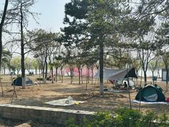 -绿堤公园