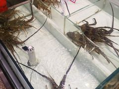 -万龙洲海鲜(大兴绿地缤纷城店)